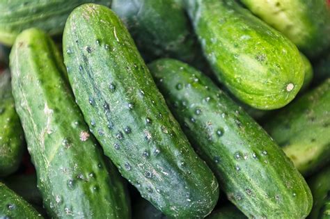 Calories in Cucumber – Nutritional Facts & Health Benefits