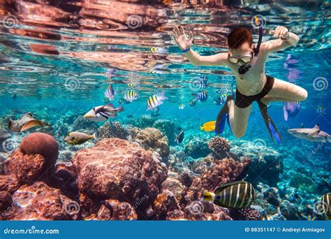 Snorkeler Maldives Oceanu Indyjskiego Rafa Koralowa Obraz Stock Obraz