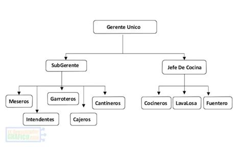 ᐈ Organigrama De Un Restaurante 🍖 Grande Mediano Y Pequeño