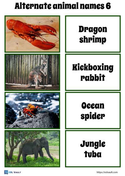 40 funny alternate animal names game - ESL Vault