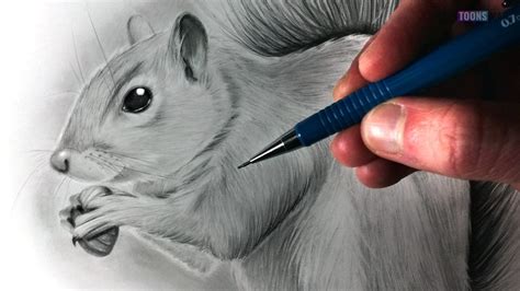 How To Draw A Squirrel Easy Tutorial 5 Steps Toons Mag