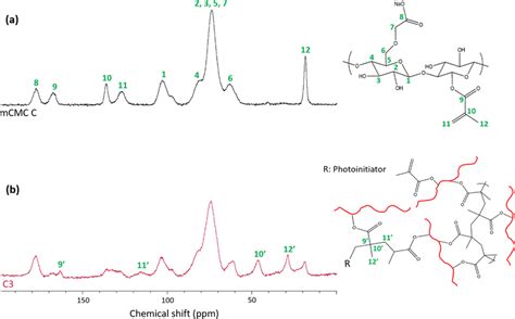 ¹³C CPMAS solid state NMR spectra of a C mCMC sample DM 76 and b