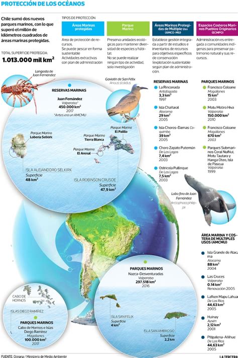 Chile el Quinto País con más Áreas Marinas Protegidas en el Mundo