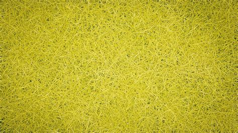 Yellow Grass Field Wallpaper