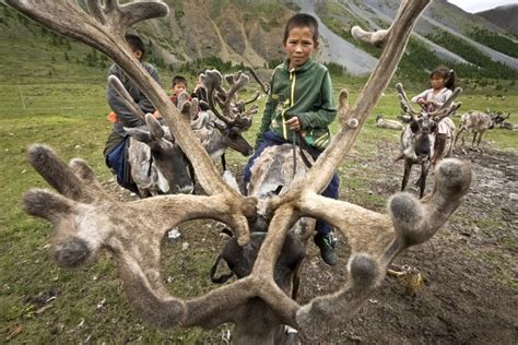 Life Inside Mongolia's Disappearing Reindeer People