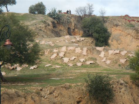 Fes Orasul Medina Florin Popescu