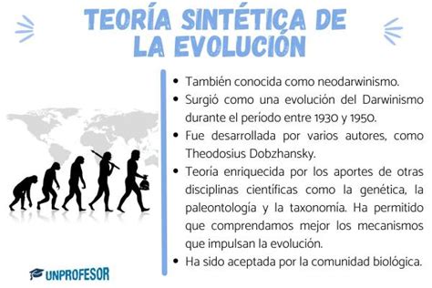 Qué es el NEODARWINISMO resumen