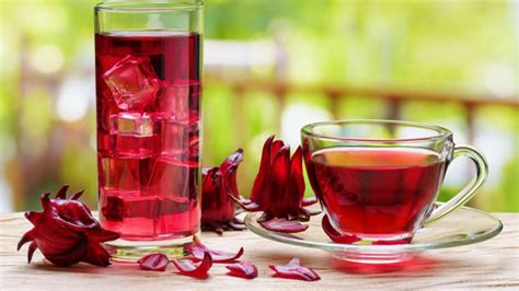 Hibiscus Tea Pros And Cons Hibiscus Tea Benefit