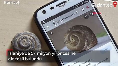 İslahiye de 57 milyon yıl öncesine ait fosil bulundu Dailymotion Video