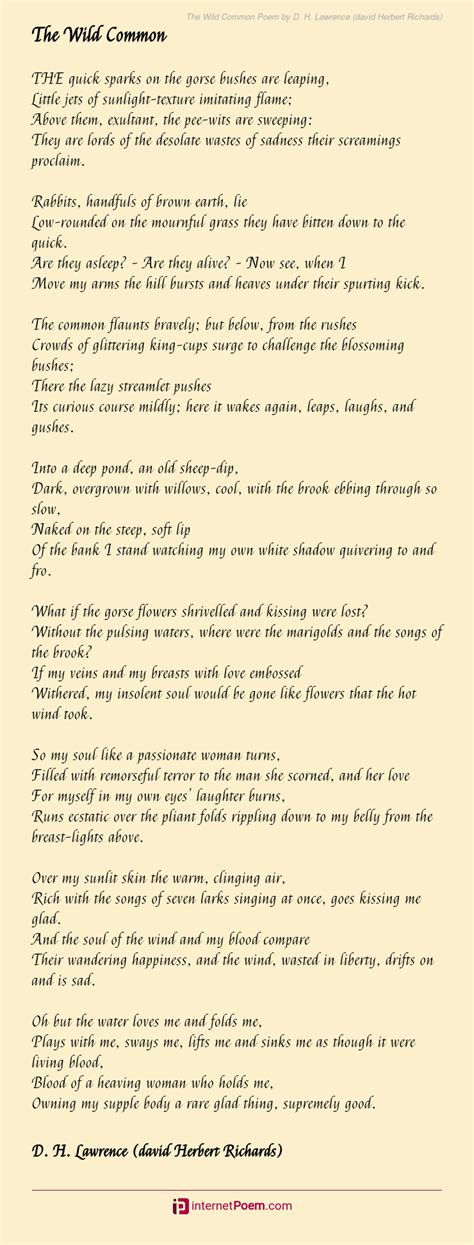 The Wild Common Poem By D H Lawrence David Herbert Richards