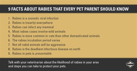 Rabies In Cats Incubation Period