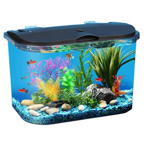 Best 5 Gallon Fish Tank ~ Top Fish Aquariums Online (2020)