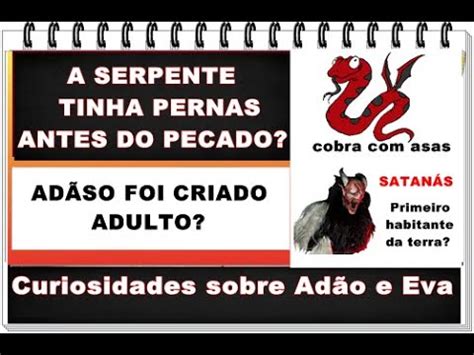 Porque Deus Condenou A Serpente Se Foi O Diabo Que Enganou Eva