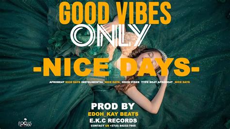 FREE Afrobeat Afrobeat Nice Days Instrumental Nice Days Good Vibes Type