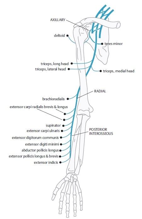 Whats The Best Tennis Elbow Stretch What To Do And What Not To Do