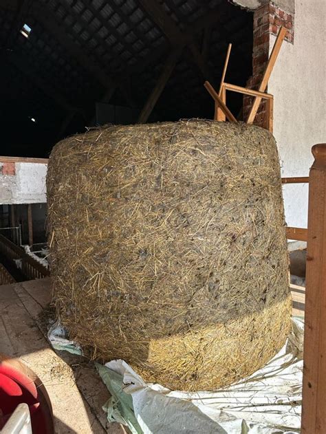 Bio Futterb Rse Verkaufe Bio Silageballen Kaufen Landwirt