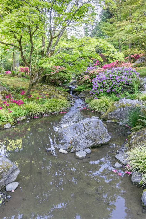 22 Innovative Backyard Stream Ideas With Pictures