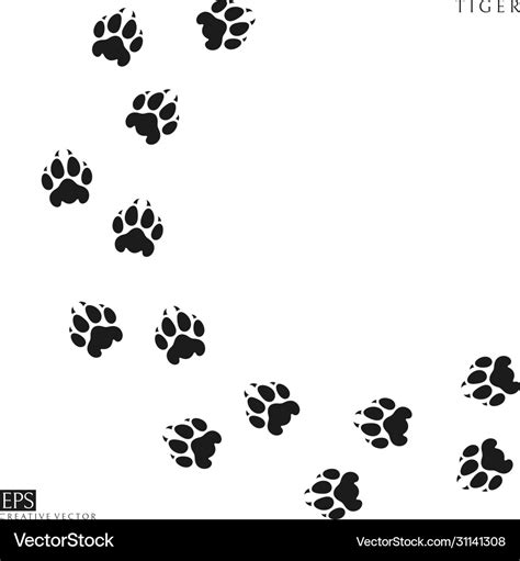 Tiger Paw Prints Royalty Free Vector Image Vectorstock