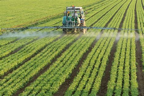 Eu Glyphosate Ban Could Cost British Farmers £10k A Year New Survey