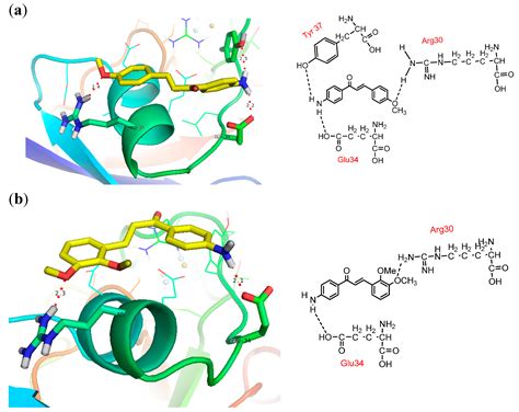 Molecules Free Full Text Design And Synthesis Of Chalcone