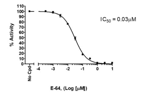 Cathepsin S Inhibitor Screening Assay Kit