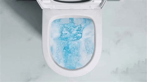 Flush Toilet GIFs - Get the best GIF on GIPHY