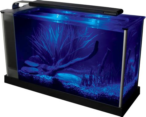 Fluval Spec Aquarium Kit Gal Chewy