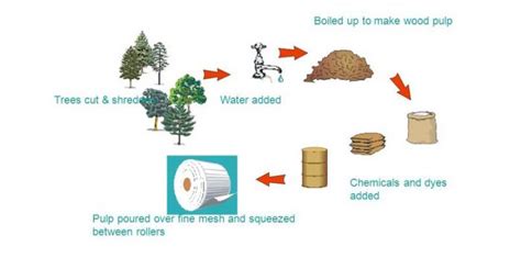 How To Make Paper From Wood Digester Twin Roll Press Disc Filter