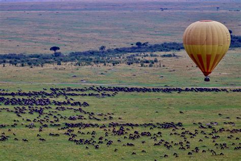 Africa's Great Migration: A Year-Round Event - Travel Beyond