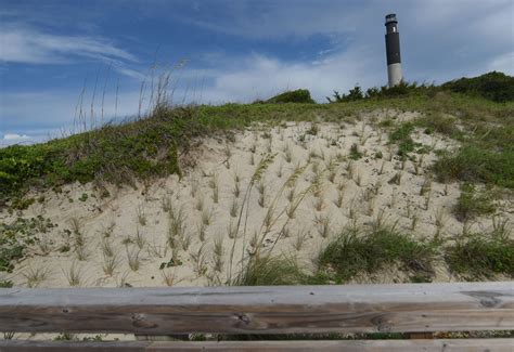 oak island cast female 3