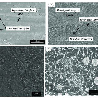 Microstructural Morphology In The Al Based Coatings A Structure Of