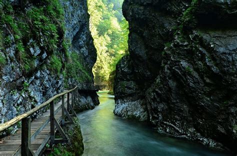 All You Need To Know To Visit Vintgar Gorge Travel Slovenia