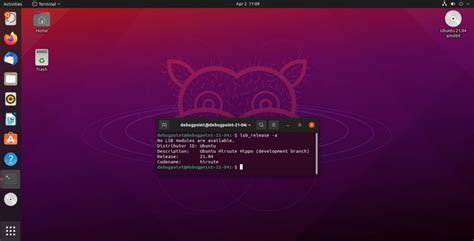 Ubuntu 2104 Beta Hirsute Hippo Released Download And Test Now