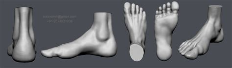 Free Feet 3d Model