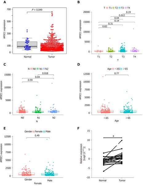 Visualization Of Correlations Between APOC1 Expression Levels And