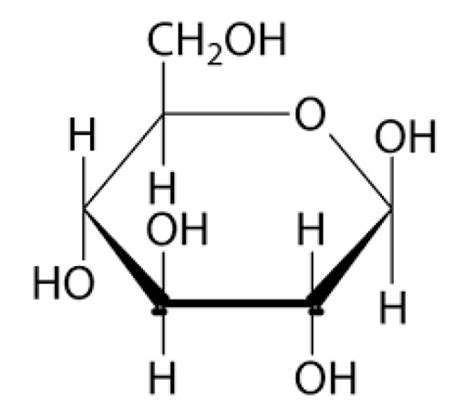 Biomolecules Carbohydrates Hubpages