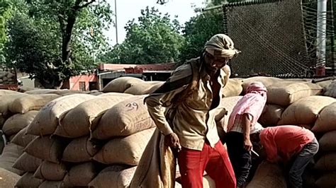 रूस यूक्रेन युद्ध का असर यूपी में Msp से अधिक रेट पर हो रही गेहूं की