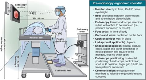 Integrating Ergonomics Into Endoscopy Training A Guide For Faculty And