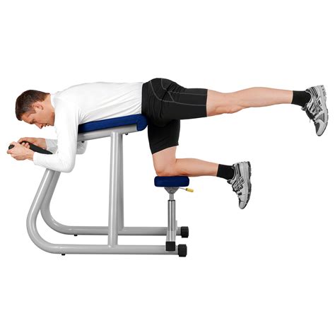 Ergo Fit Trainingsgerät Free Hip Bench Günstig Online Kaufen Sport Tec