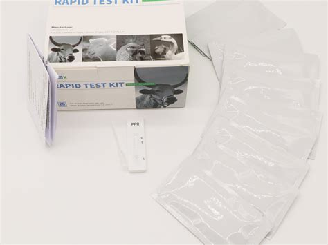 Peste Des Petits Ruminants Antibody Rapid Test China Veterinary And