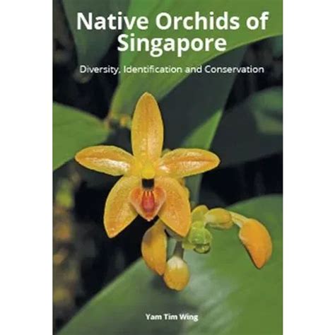 Native Orchids Of Singapore Diversity Identification And Conservation