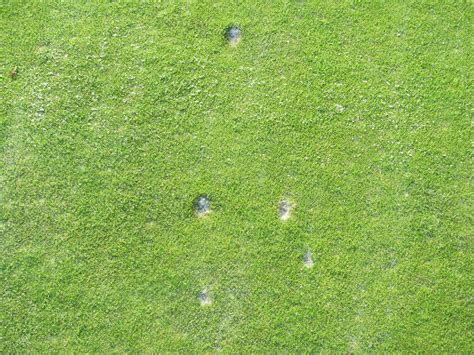how to fix ball marks on green