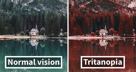 How Colorblind People With Tritanopia See The World Steemit