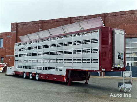 Pezzaioli New 5 Stock Livestock Trailer Water Ventilation