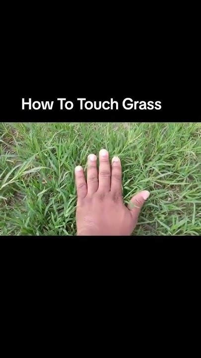 How To Touch Grass Youtube