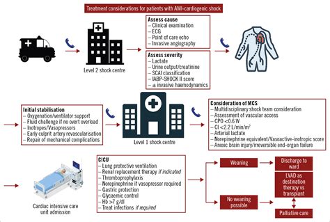 Management Of Cardiogenic Shock Eurointervention