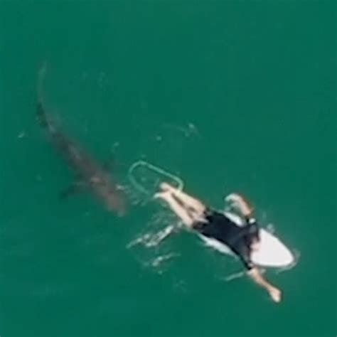 Great White Shark almost attacks pro surfer in shocking Australian drone footage [Video]