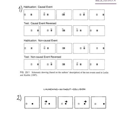 Physique Naive Flashcards Quizlet