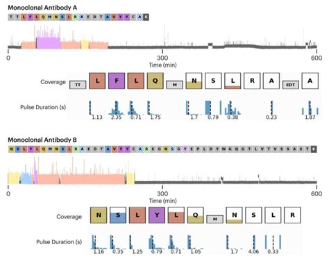 Antibody Characterization | Quantum-Si