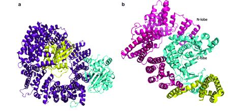 A Structure Of The Nuclear Export Receptor Crm1 In Complex With